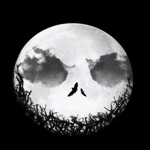 Meet your Posher, Gj